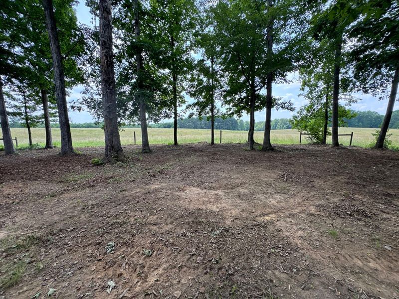Forestry Mulching
