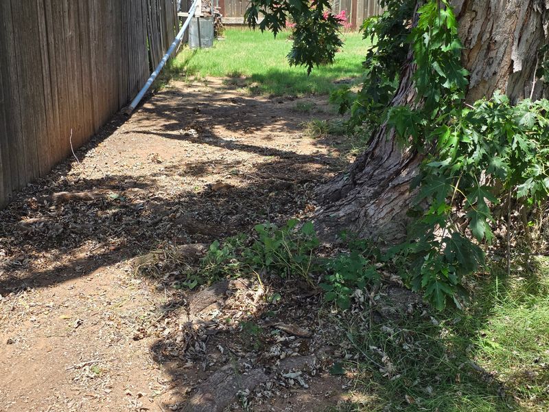 Storm Debris Removal