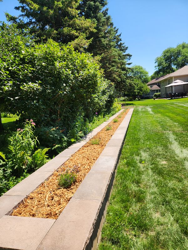 Shrub Trimming