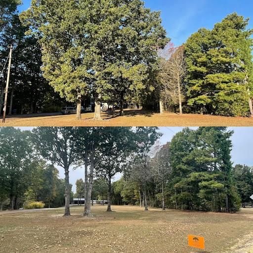 Other Tree Services