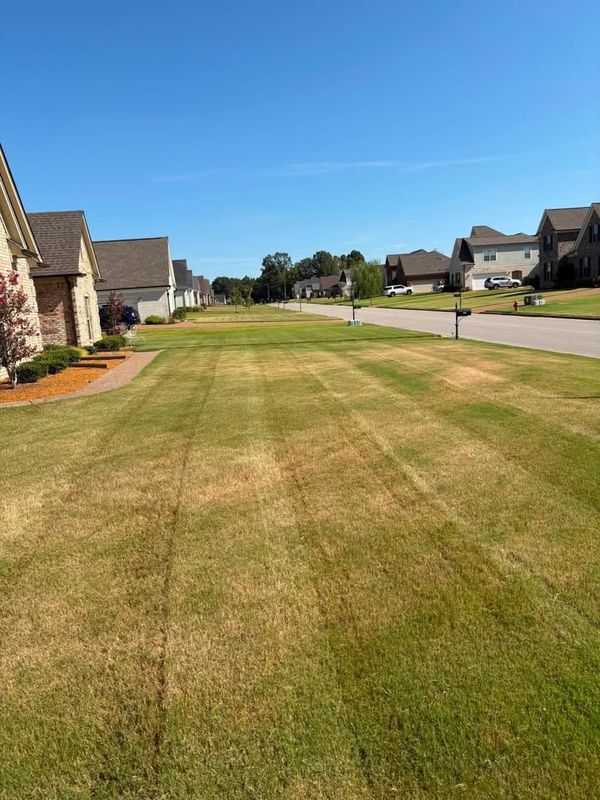 Lawn Maintenance