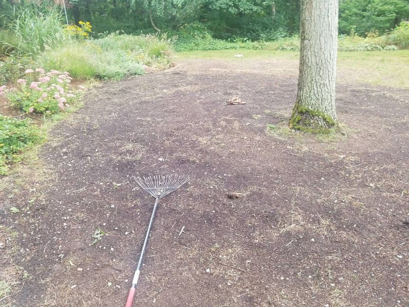 Fall and Spring Clean Up