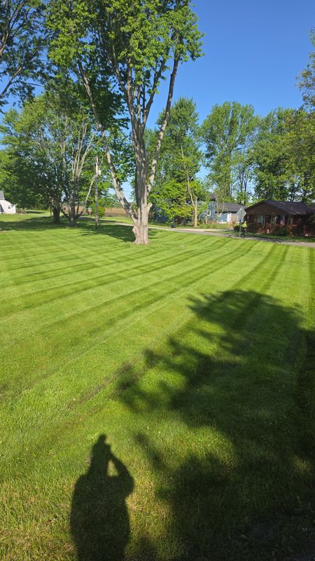 Lawn Care & Maintenance