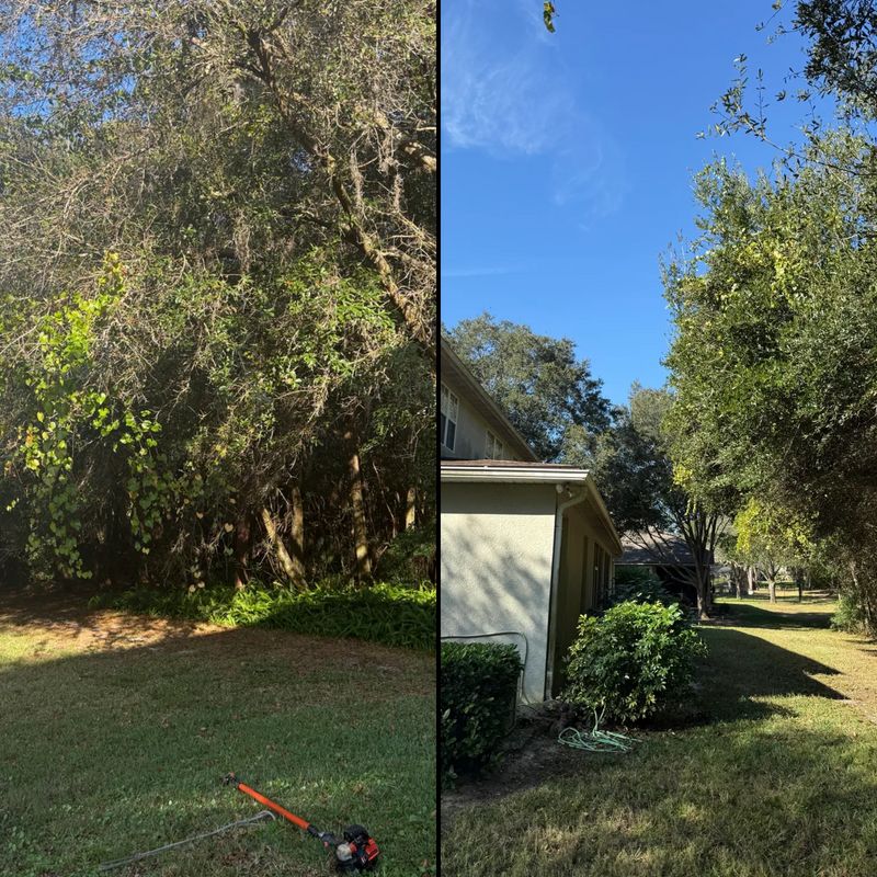 Land Clearing