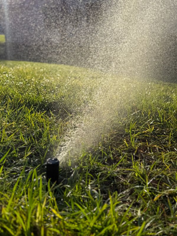Drip Irrigation Installation and Maintenance