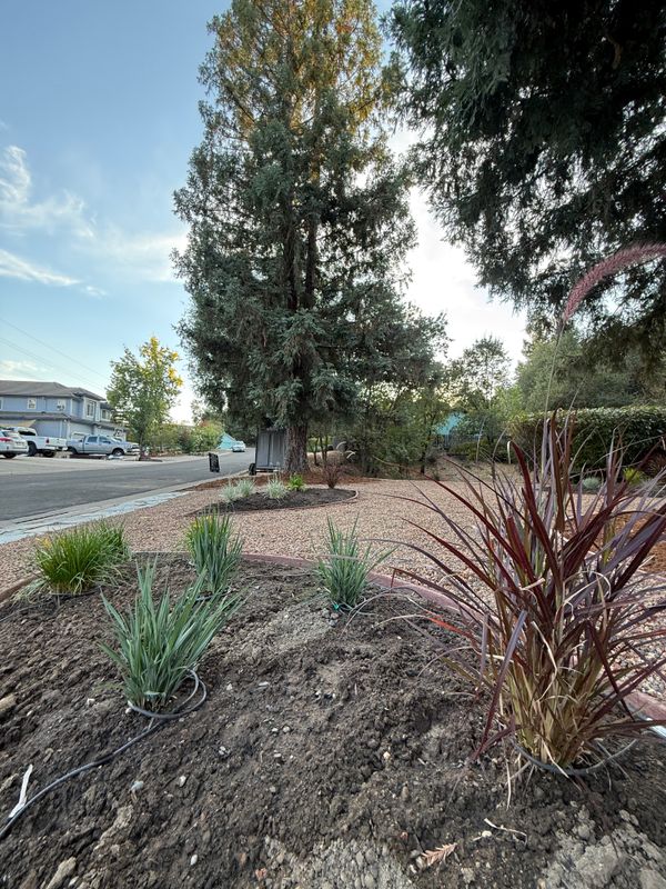 Landscaping