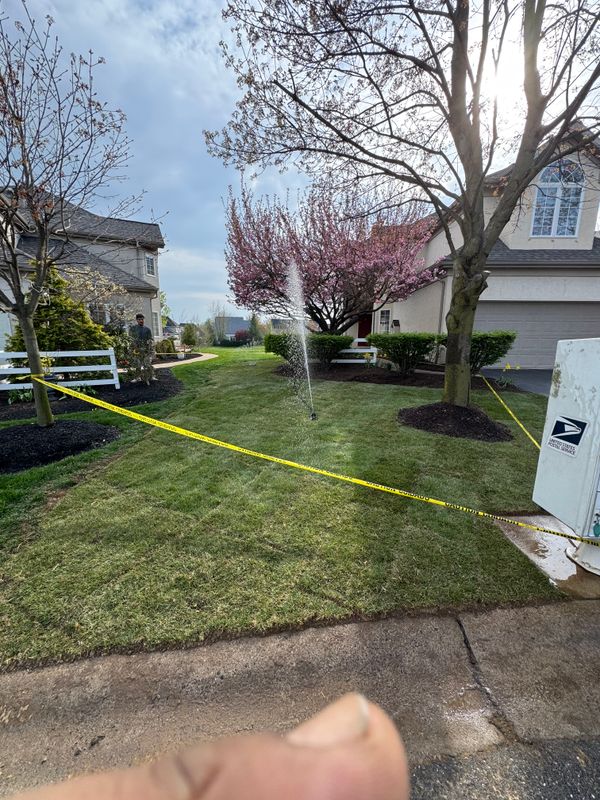 Landscaping