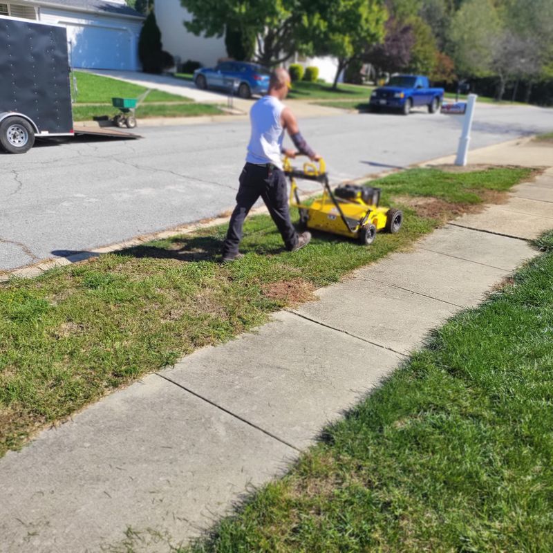 Aeration and Overseeding