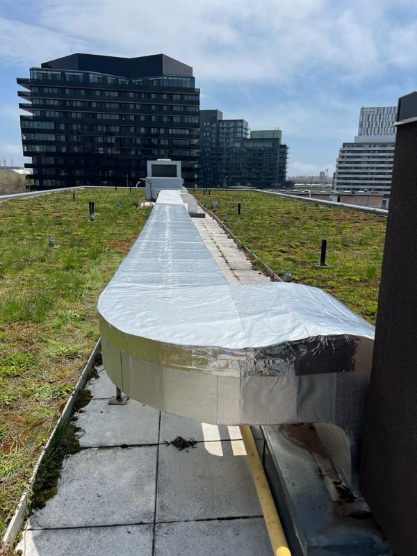 Roofing Maintenance