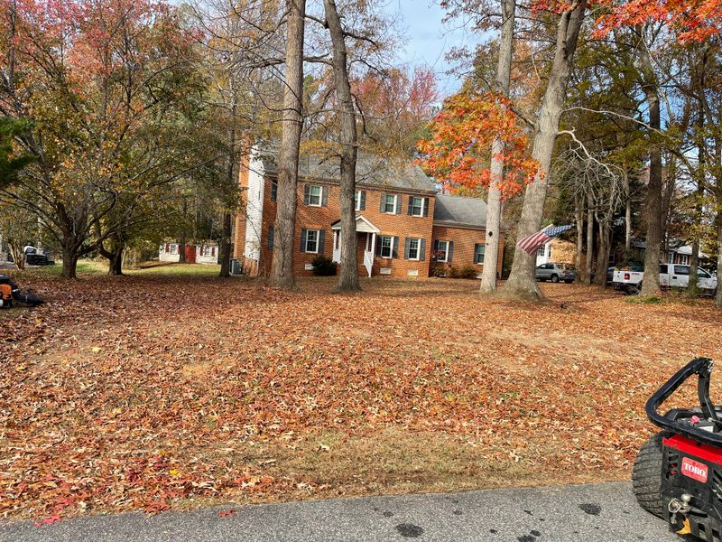Fall and Spring Clean Up