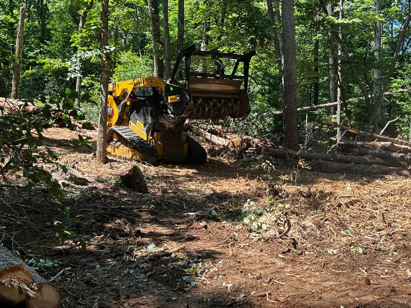 Forestry Mulching