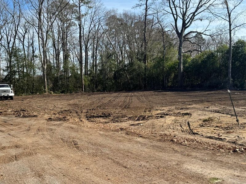 Land Clearing