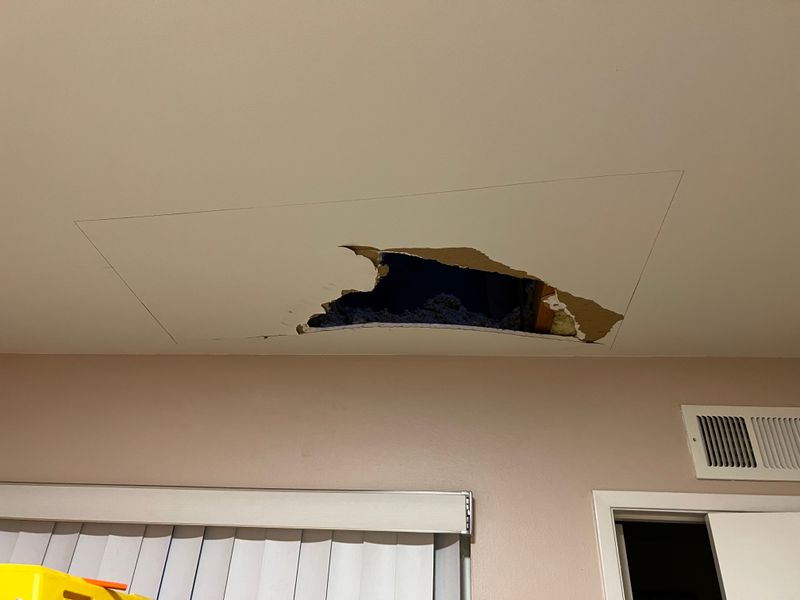 Painting and Drywall