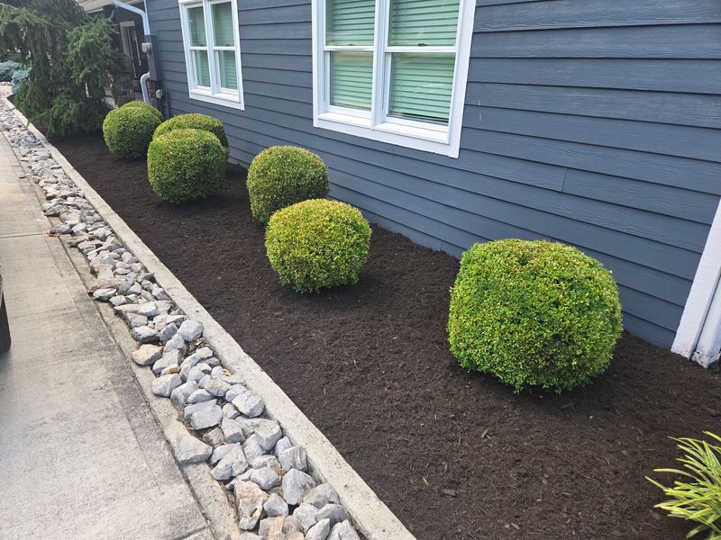 Shrub Trimming