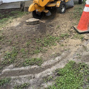 Stump Grinding
