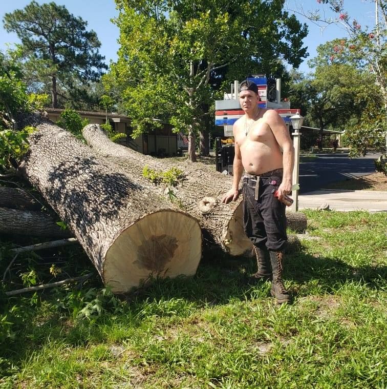 Tree Services