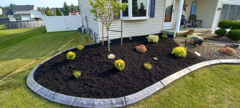 Shrub & Plant Installation Photos