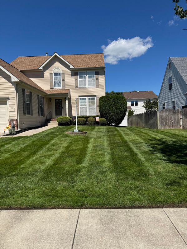 Landscaping 