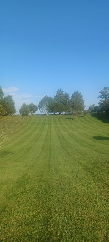 Lawn Maintenance