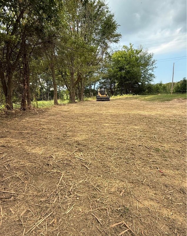 Land Clearing & Mulching