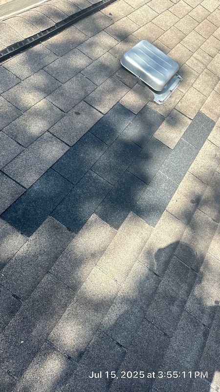 Shingle Roof Replacement