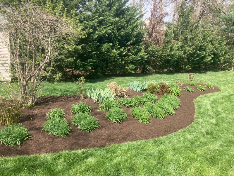 Landscape Design