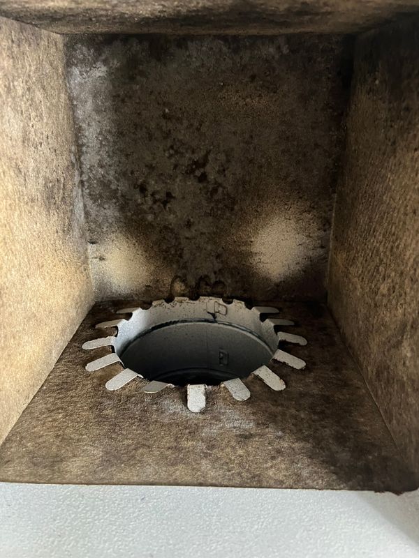 Mold Remediation