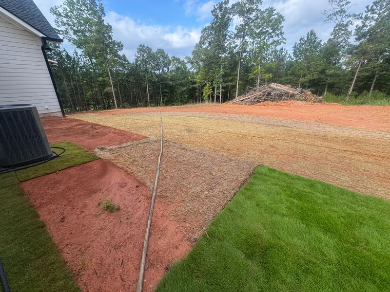 Hydroseeding gallery