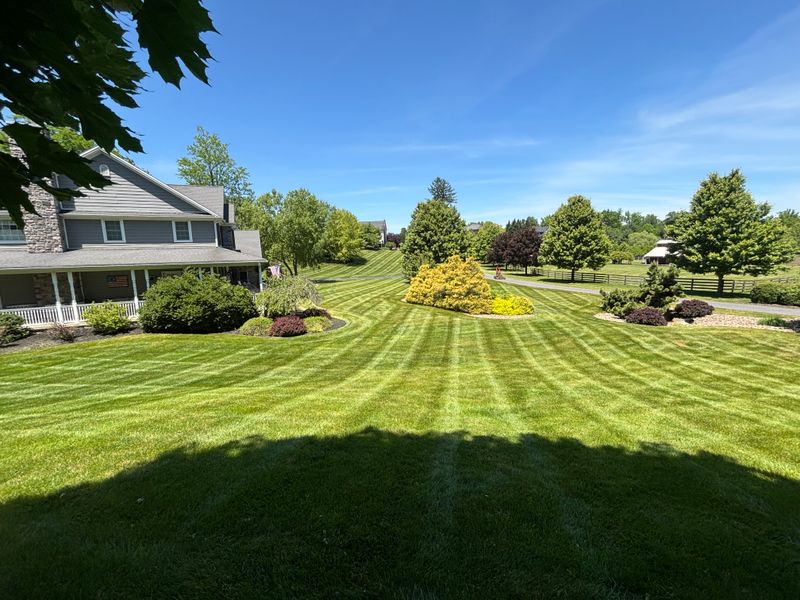 Lawn Mowing