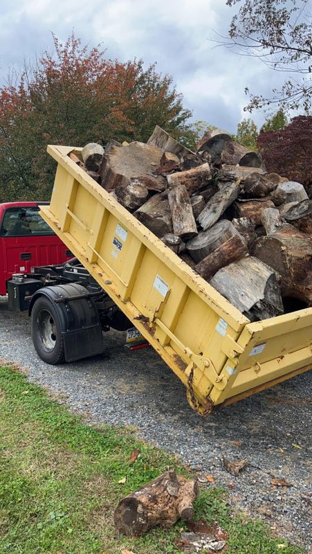 Tree Removal