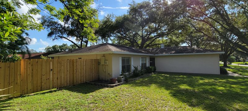 Debris removal and roof Softwash!