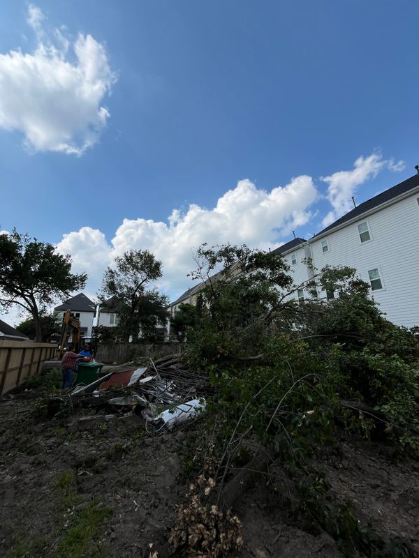 Land clearing