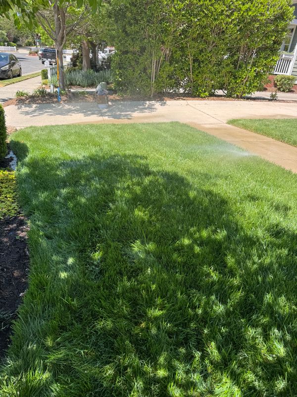 Irrigation