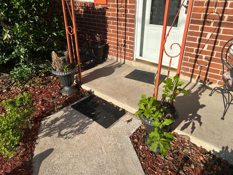 Driveway and Sidewalk Cleaning