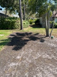 Lawn Care