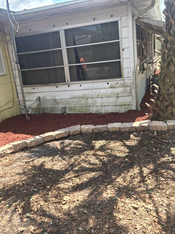 Lawn Care & Maintenance