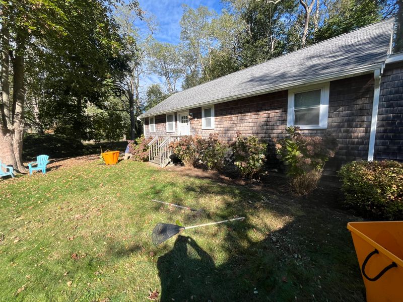 Shrub Trimming gallery