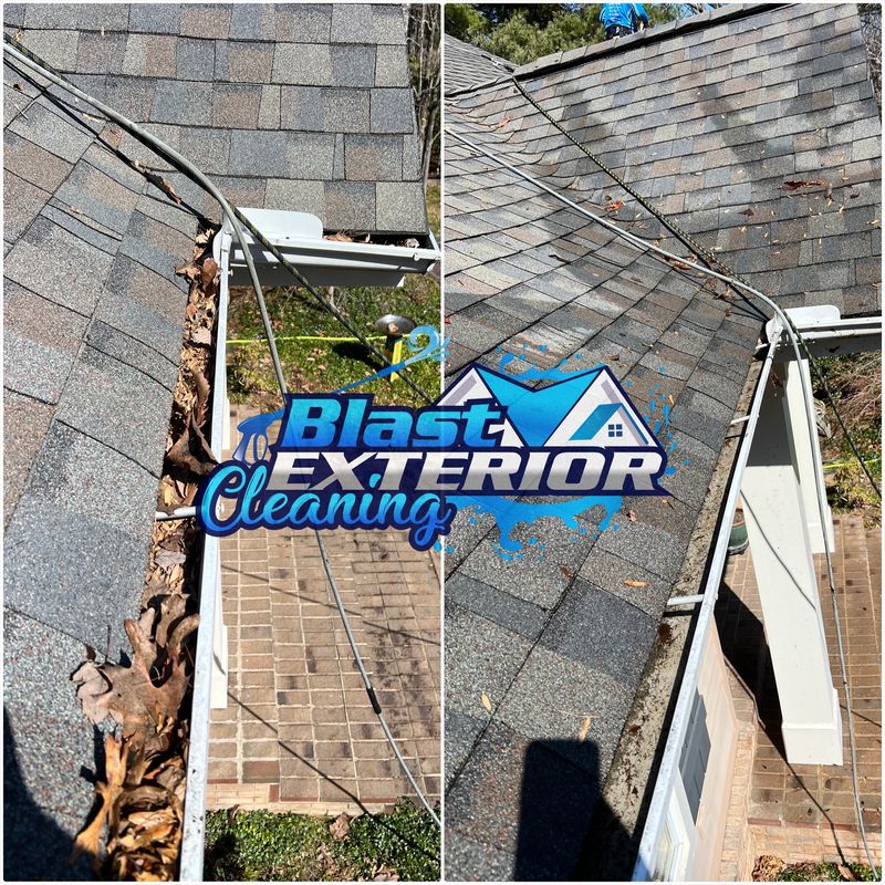Gutter Cleaning