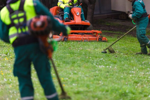 Lawn Maintenance