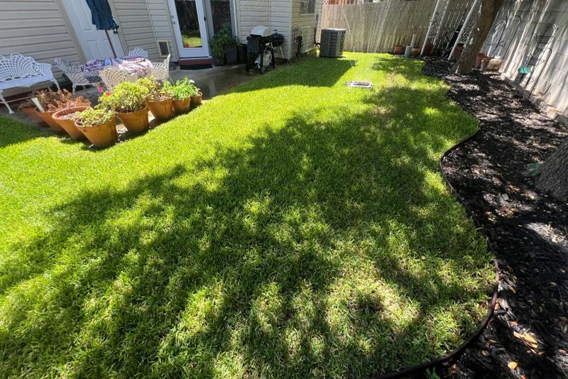 Lawn Mowing