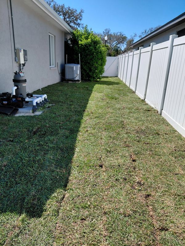 Sod Installation