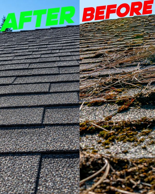 Roof Cleaning