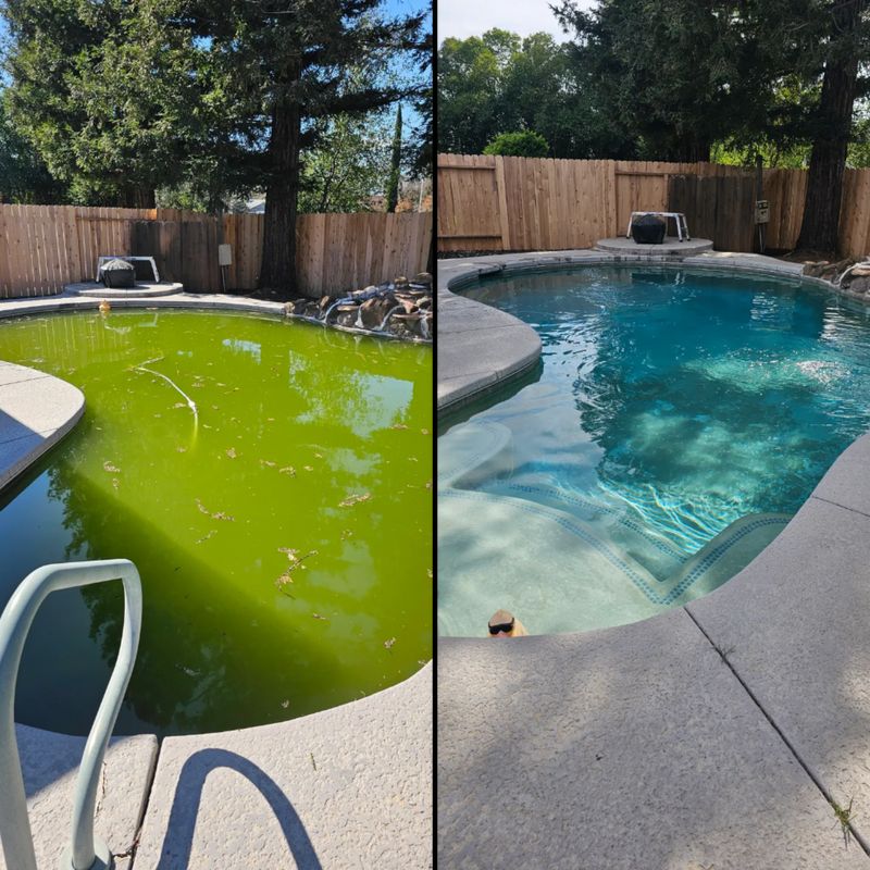 Algae Removal Success Stories