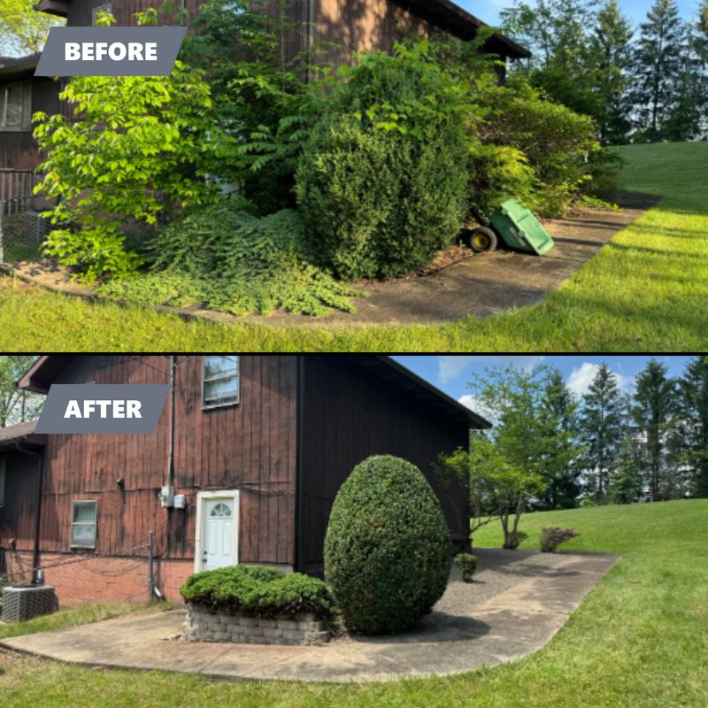 Pressure Washing & Landscape Services