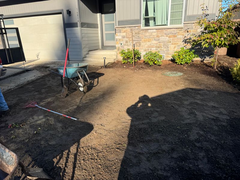 Shrub Trimming