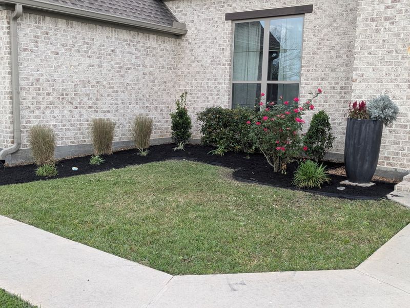 Lawn Maintenance