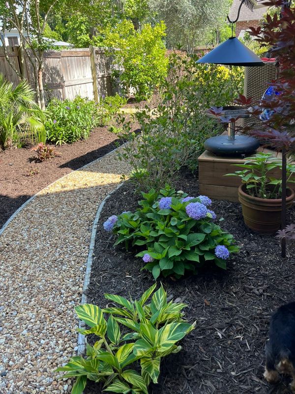 Landscape Design