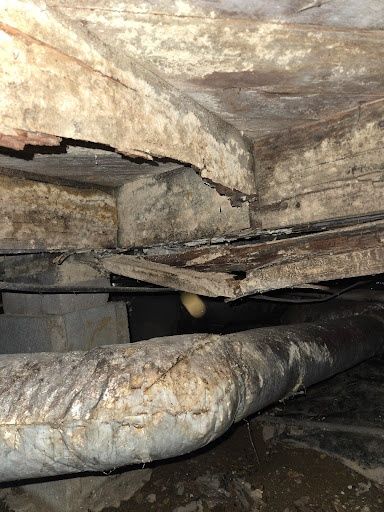 Fungus Control