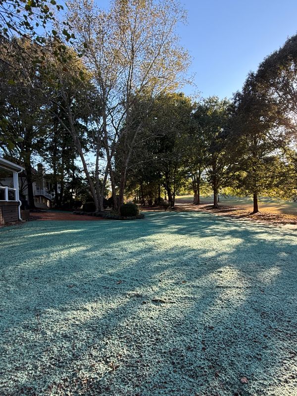 Hydroseeding gallery