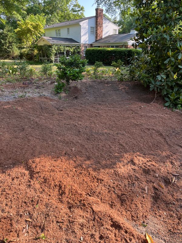 Stump Removal